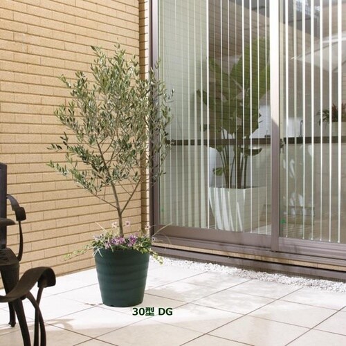 �t���O���[�|�b�g