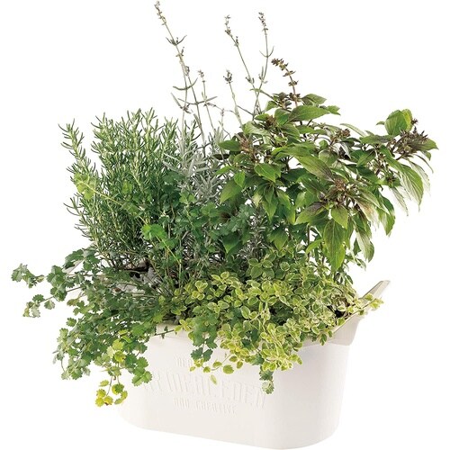 �O���E�R���e�i�@�I�[�o��