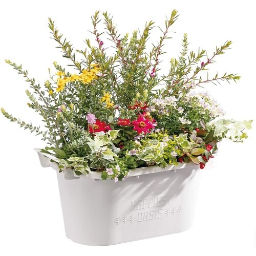 �O���E�R���e�i�@�I�[�o��