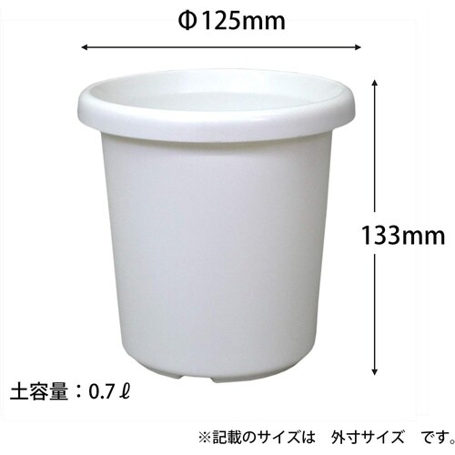 �����e�^