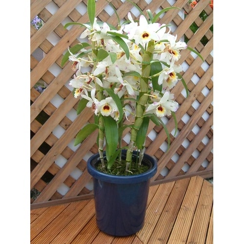 �����e�^