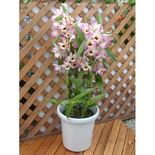 �����e�^