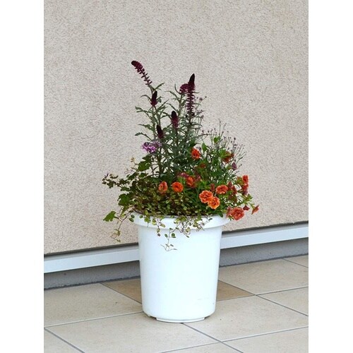 �����e�^