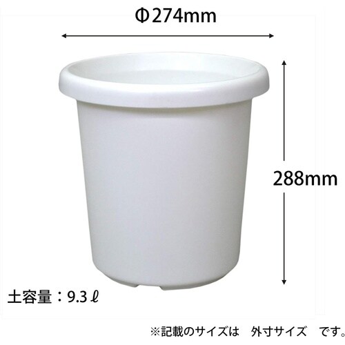 �����e�^