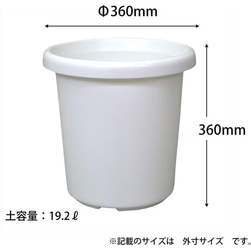 �����e�^