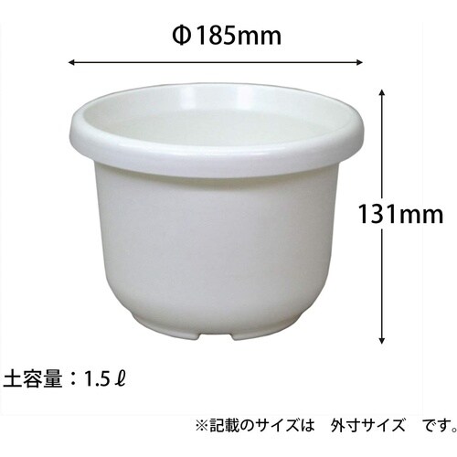 �֔��e�^�@�z���C�g