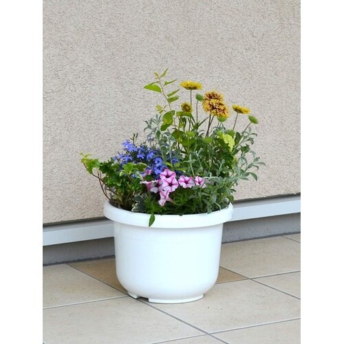 �֔��e�^�@�z���C�g