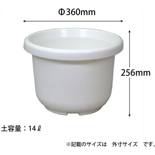 �֔��e�^�@�z���C�g