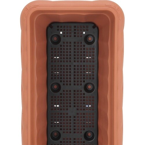 �N�C�[���v�����^�[