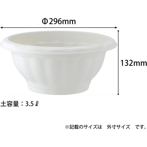 �N�C�[���{�[��