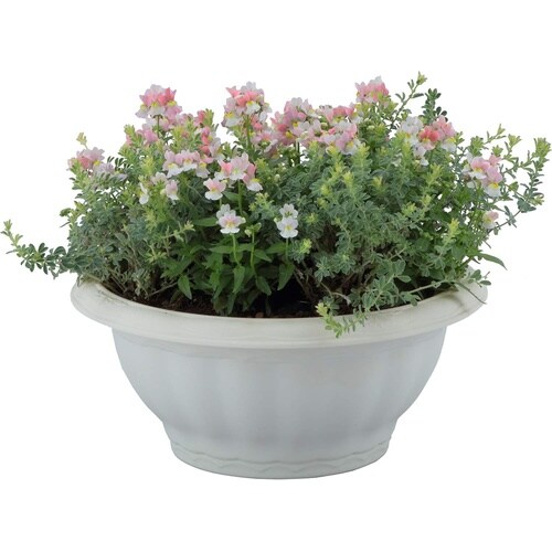 �N�C�[���{�[��