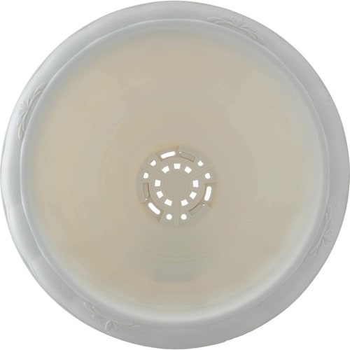 �N�C�[���J�b�v