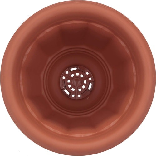 �N�C�[���J�b�v