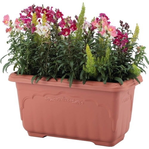 �N�C�[���[�^