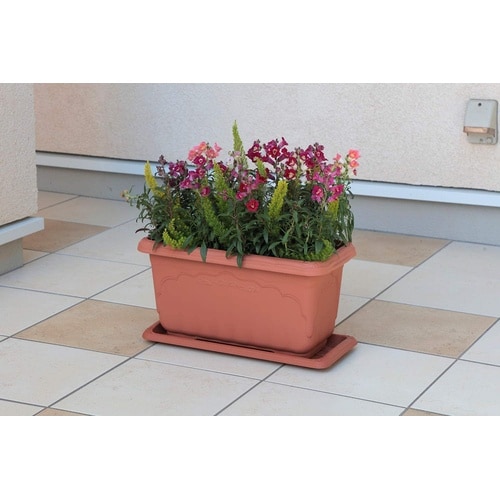 �N�C�[���[�^