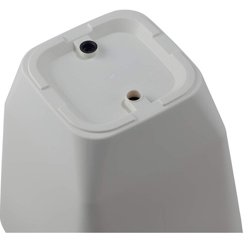 �A�g���G�@�X�N�G�A