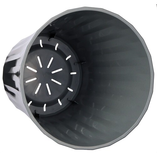 �O���X�|�b�g