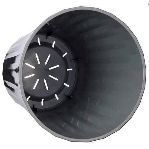 �O���X�|�b�g