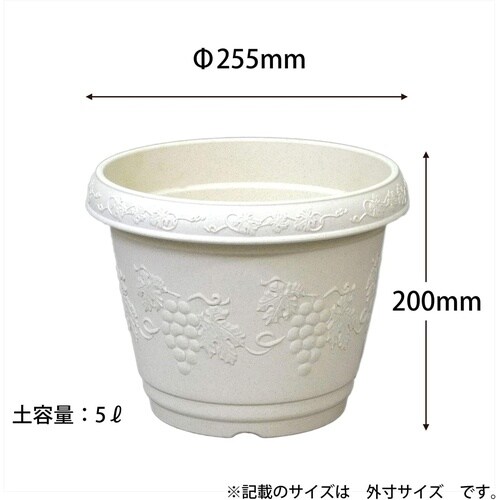 �N���X�g�v�����^�[