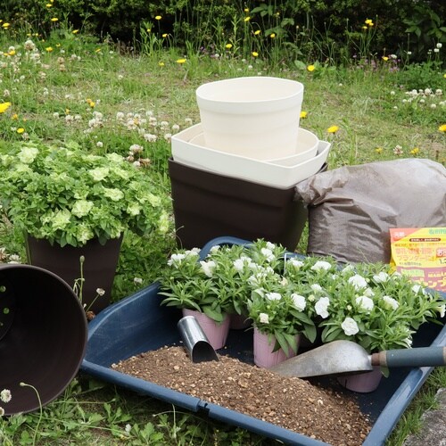 �N���t�g�|�b�g