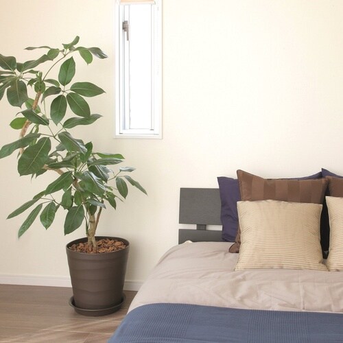 �N���t�g�|�b�g