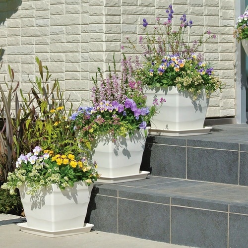 �N���t�g�X�N�G�A