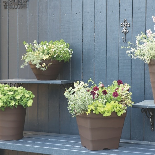 �N���t�g�X�N�G�A