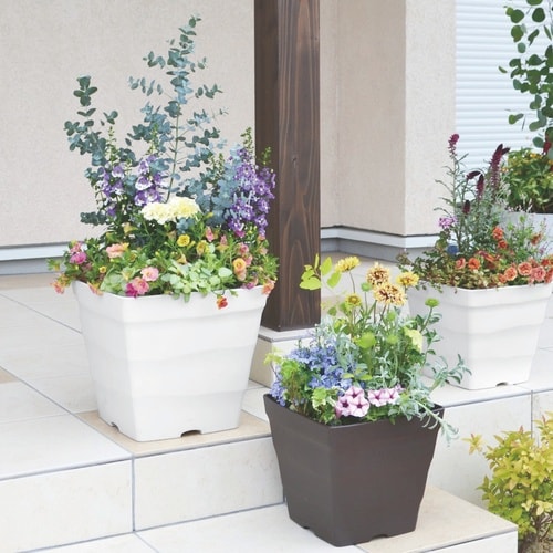 �N���t�g�X�N�G�A