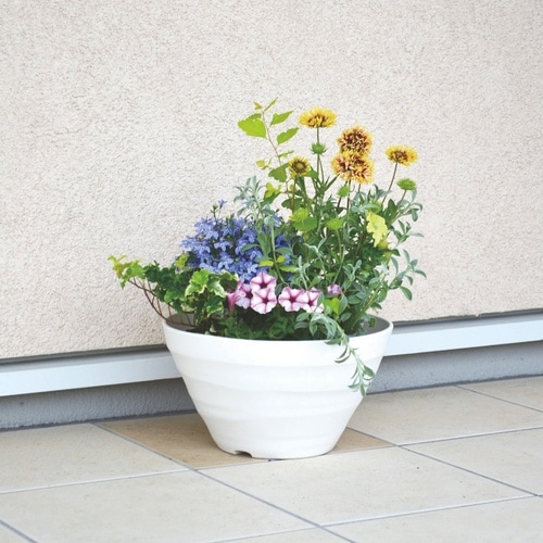 �N���t�g�{�[��