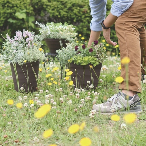 �N���t�g�{�[��