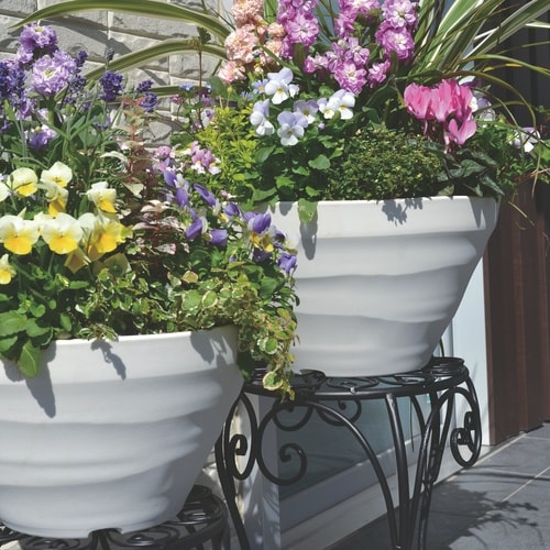 �N���t�g�{�[��