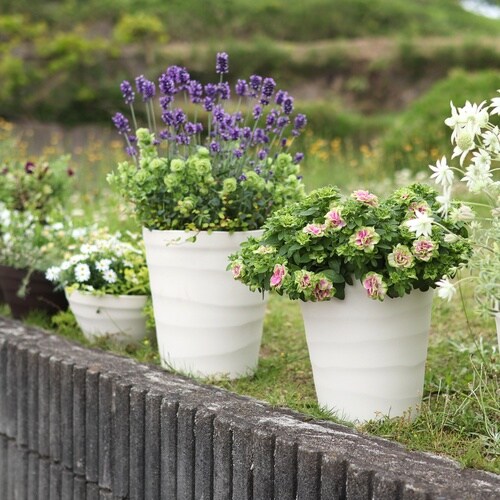 �N���t�g�|�b�g