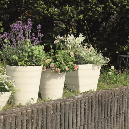 �N���t�g�|�b�g