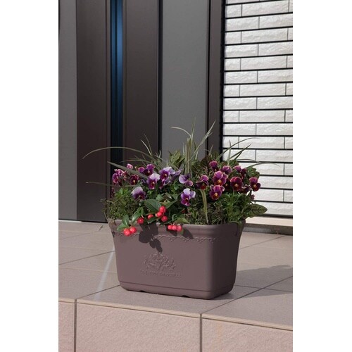 セシルプランター