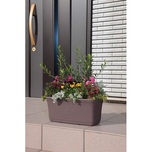 セシルプランター