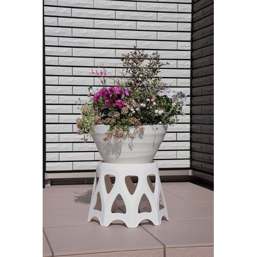 ��M�t���X�^���h