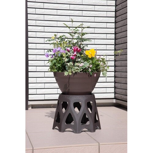 ��M�t���X�^���h