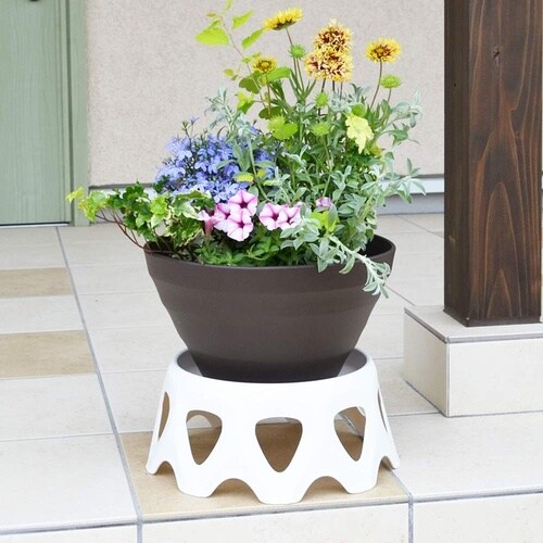 ��M�t���X�^���h