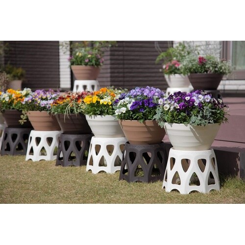 ��M�t���X�^���h