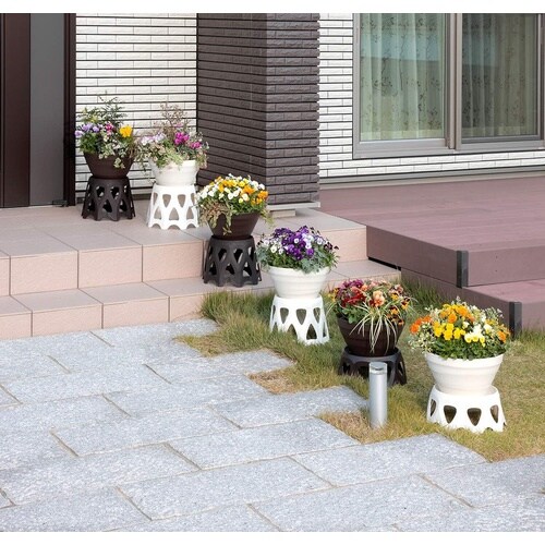 ��M�t���X�^���h