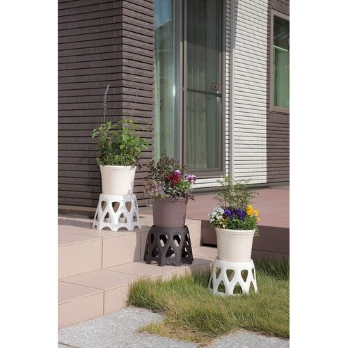 ��M�t���X�^���h