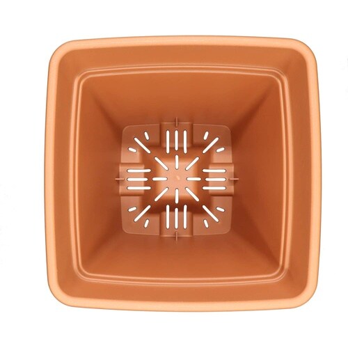 ���[�A�X�N�G�A�@�u���E��