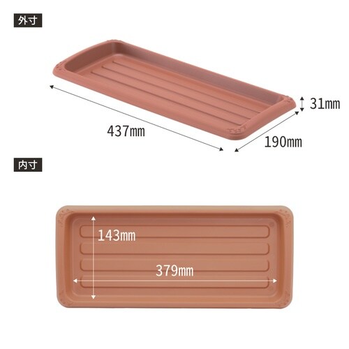 �N�C�[���v���[�g