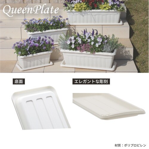 �N�C�[���v���[�g