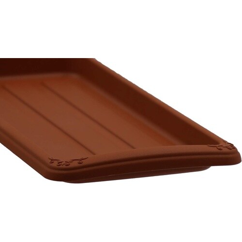 �N�C�[���v���[�g