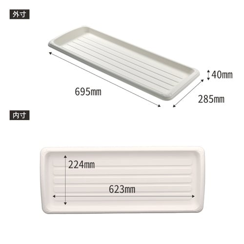 �N�C�[���v���[�g