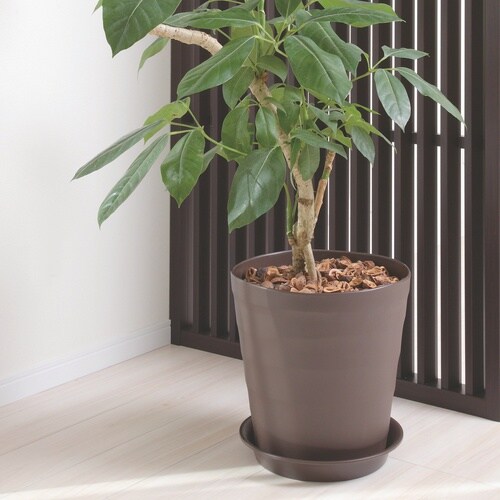 �N���t�g�v���[�g