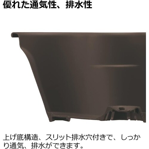 �n�[�x���[�|�b�g�@�_�[�N�u���E��