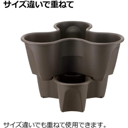 �n�[�x���[�|�b�g�@�_�[�N�u���E��