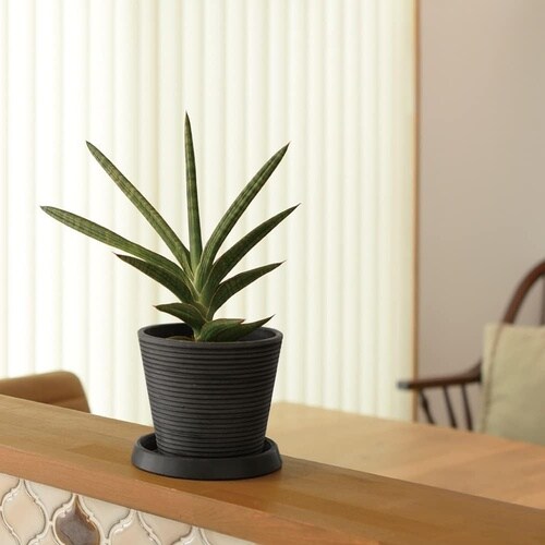 �{�^�j�[�@�~�f�B�|�b�g�@�z���C�g